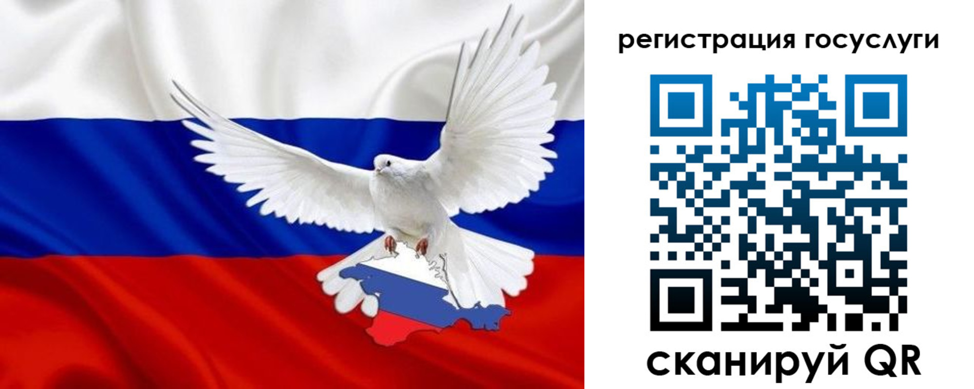 прописка законно в Свободном